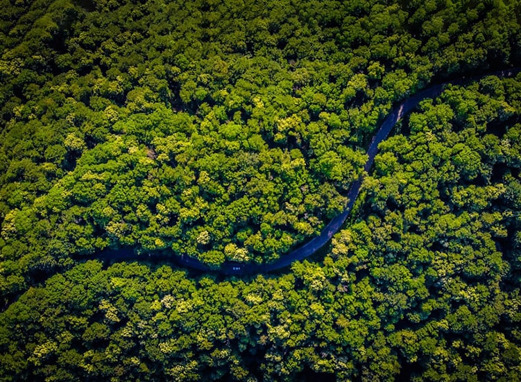 Imagens e galeria de fotos min 1