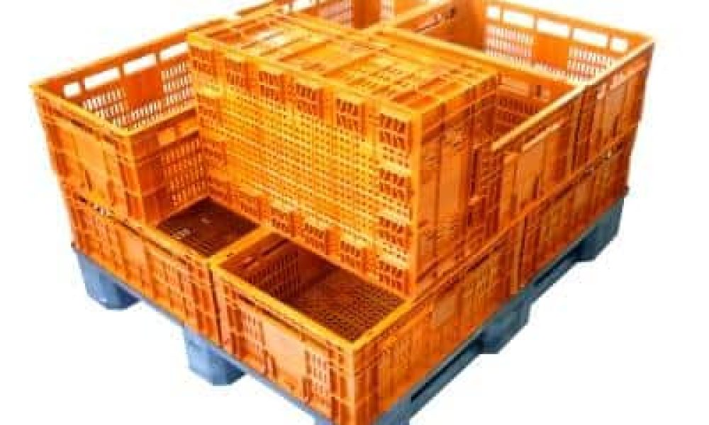 Caixa plástica hortifruti 23A x 40L x 60C