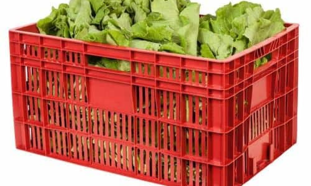 Caixa plástica hortifruti 31A x 40L x 60C