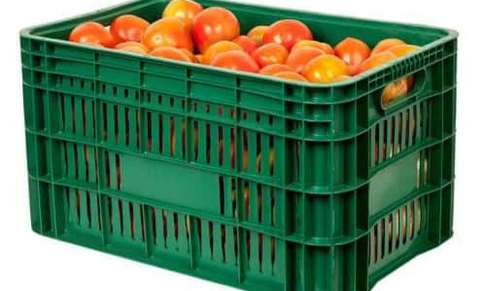 Caixa plástica hortifruti 31A x 40L x 60C
