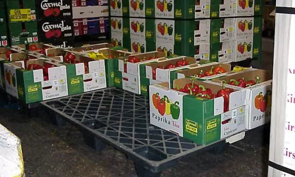 Pallet Plástico Eko 100×120×13 Encaixável